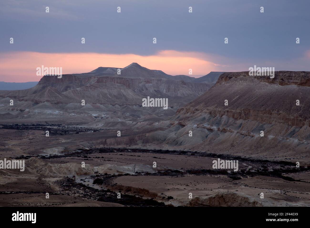 Guardando verso Ein Ovdat e la valle di Wadi Zin, il deserto di Negev, Israele al tramonto Foto Stock