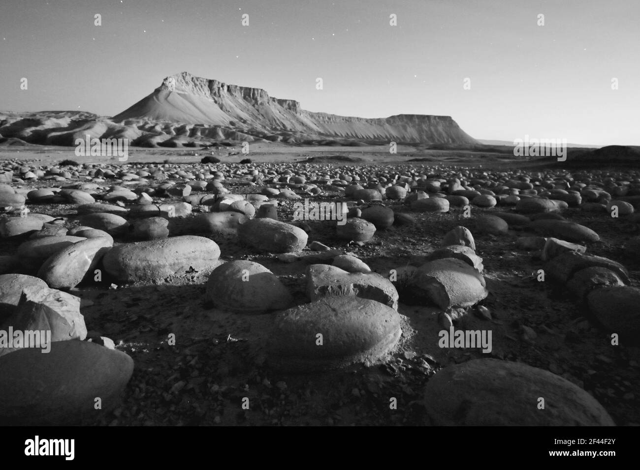 Israele, paesaggio del deserto di Negev. Il campo di roccia di Bulbus di fronte al Monte Zin. Il bulbo è un nome arabo per le patate. Queste rocce a forma di patate sono state trovate Foto Stock