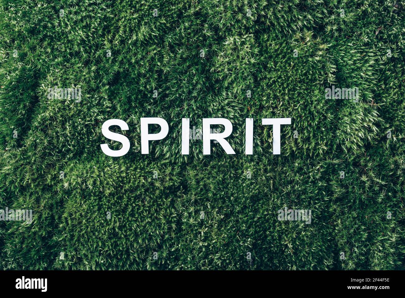 Parola Spirito su muschio, sfondo verde erba. Vista dall'alto. Spazio di copia. Banner. Tendenza della biofilia. Natura sfondo. Concetto di corpo, mente e spirito. Corpo, mente Foto Stock