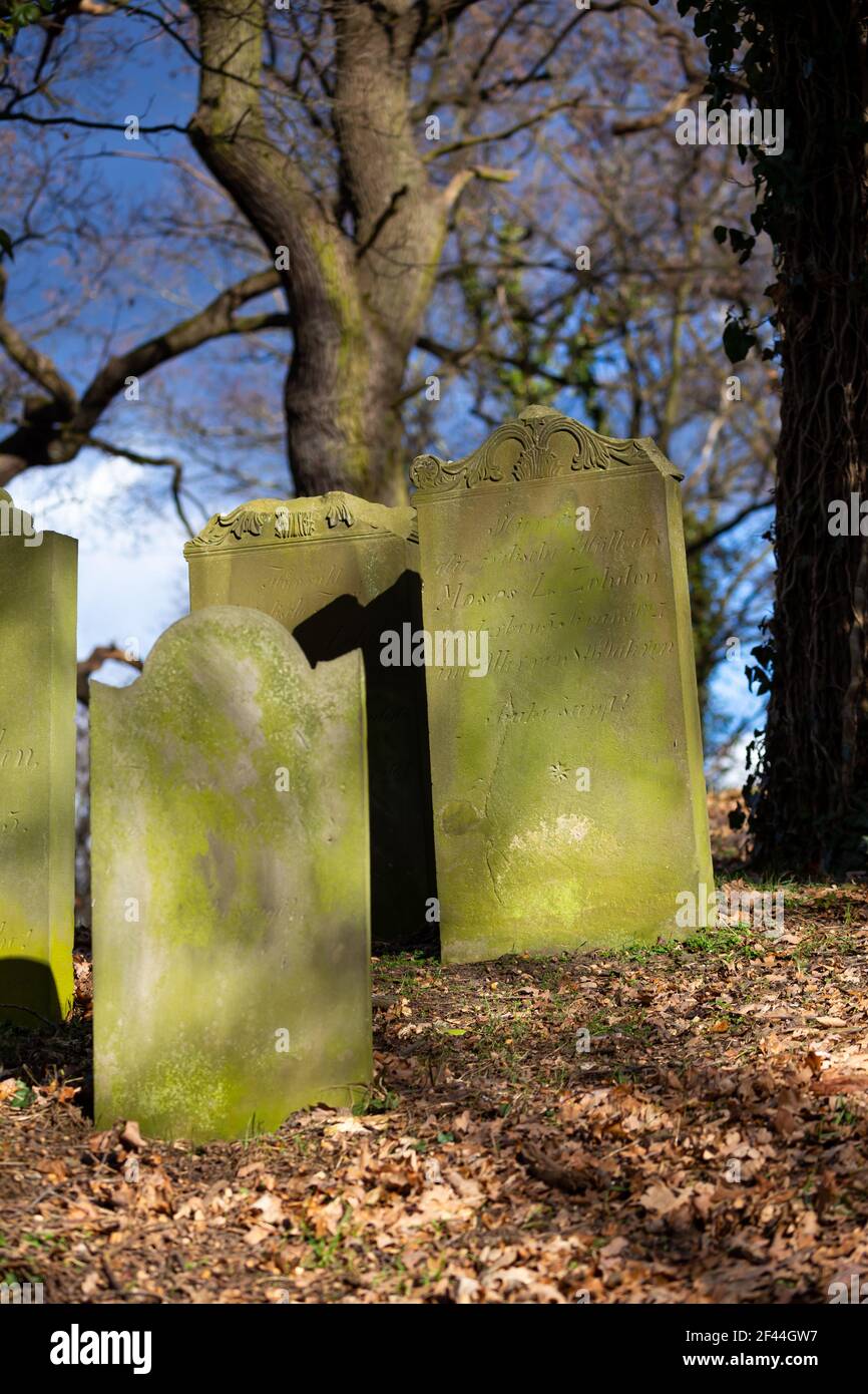 Cimitero ebraico abbandonato a Skwierzyna, Polonia. Primi piani sul matzevot. Una foto scattata in una giornata di sole, scatto d'atmosfera Foto Stock