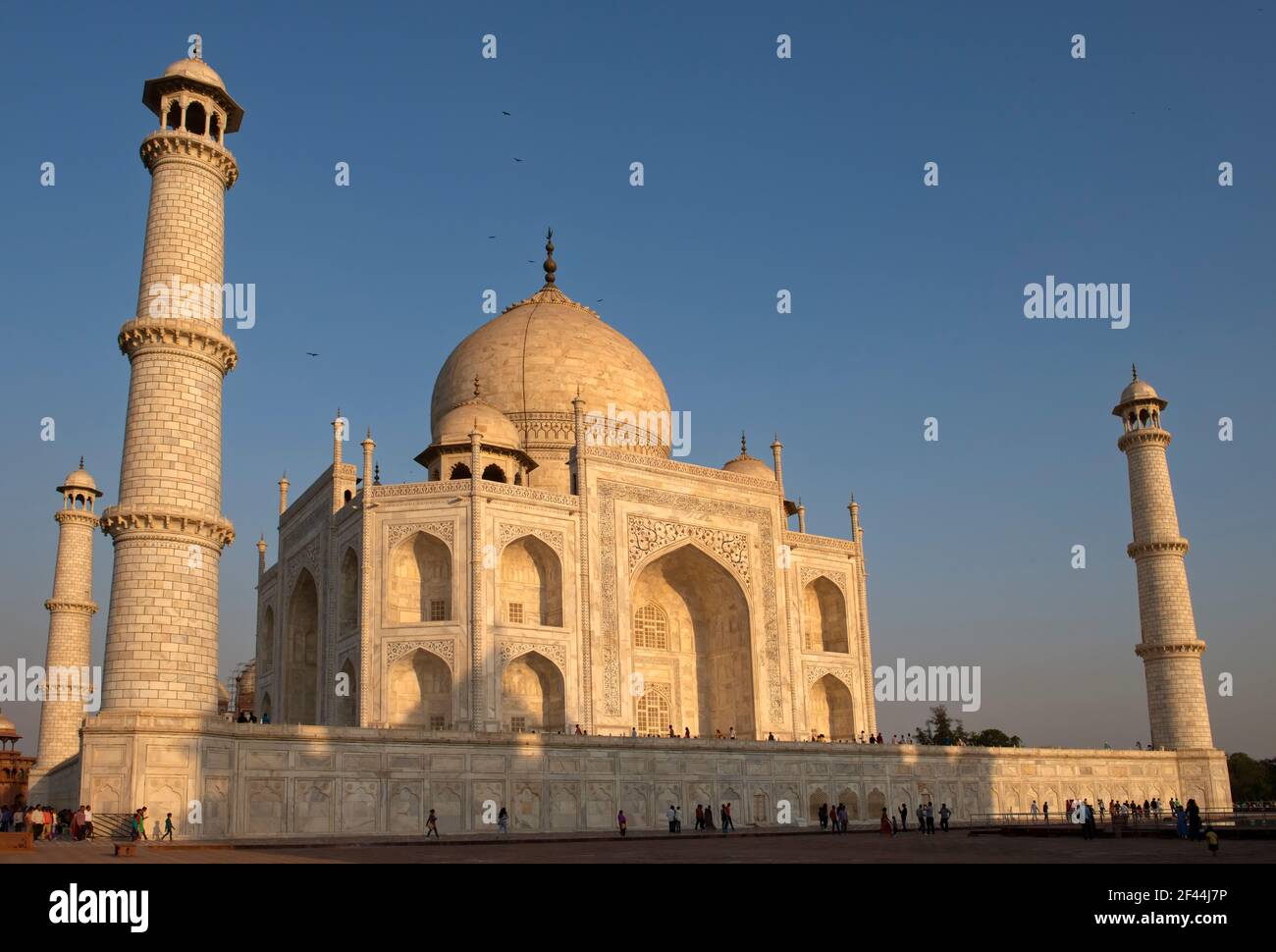 Taj Mahal, patrimonio dell'umanità dell'UNESCO, monumento in marmo bianco, Agra, Uttar Pradesh, India, Asia Foto Stock