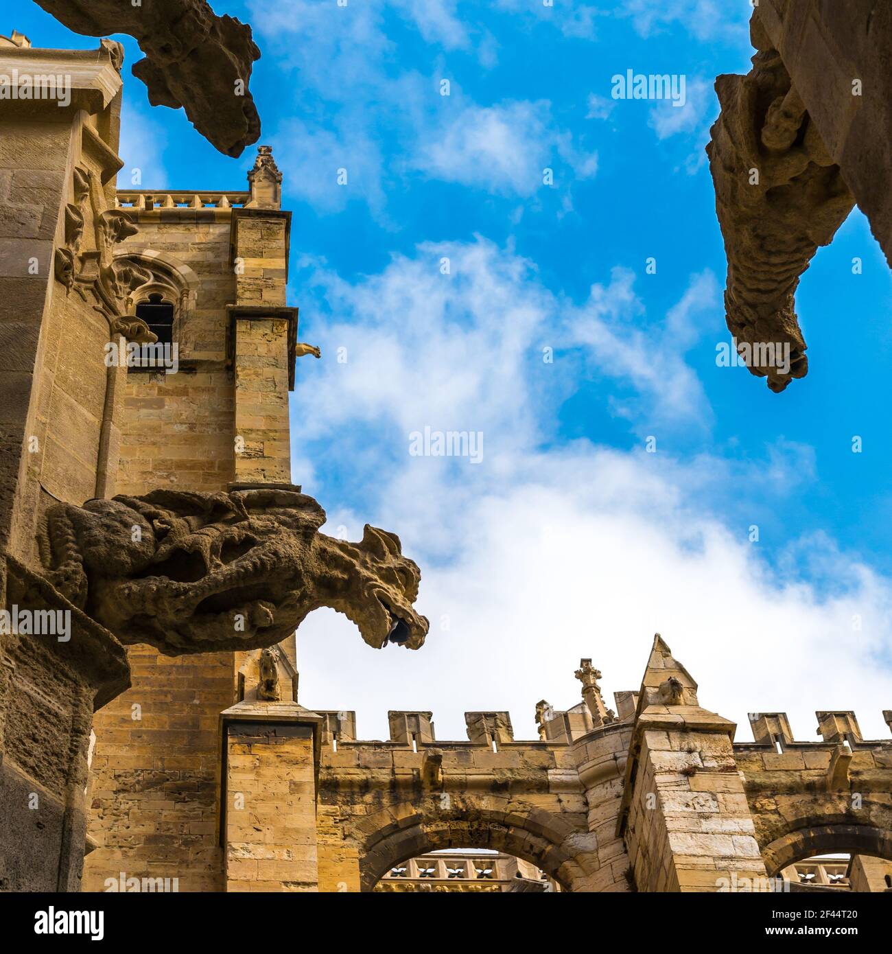 Cattedrale di Narbonne nell'Aude in Occitanie, Francia Foto Stock