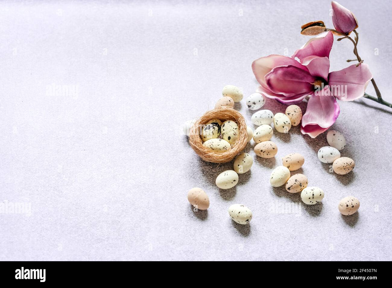 Pasqua sfondo minimo colorato punteggiato uova di Pasqua nel nido d'uccello e fiore viola magnolia con spazio per la copia Foto Stock