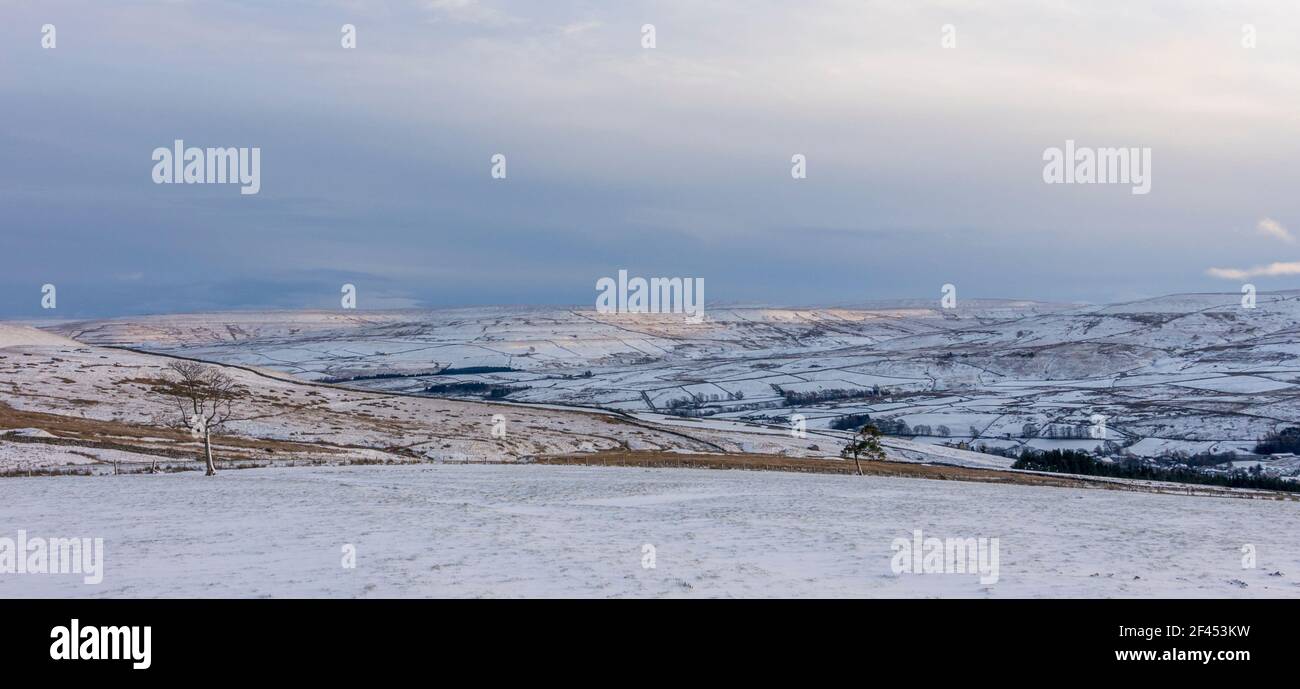 Colline e campi innevati a Weardale, North Pennines, County Durham, Regno Unito Foto Stock