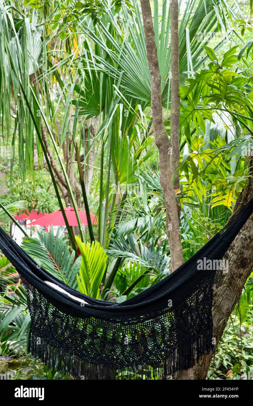 Un'amaca nera pende da due alberi in un giardino tropicale in Messico. Piante esotiche e alberi sullo sfondo. Concetti di viaggio e avventura Foto Stock