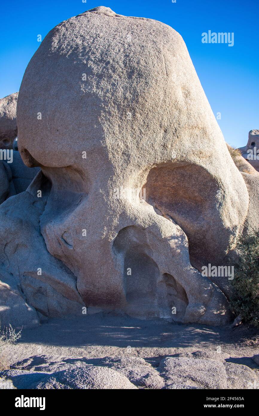 Skull Rock al Joshua Tree National Park in California Foto Stock