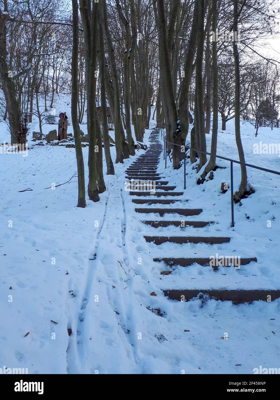 Foto verticale di una scala alberata in un parco coperto di neve a Würzburg, Germania Foto Stock