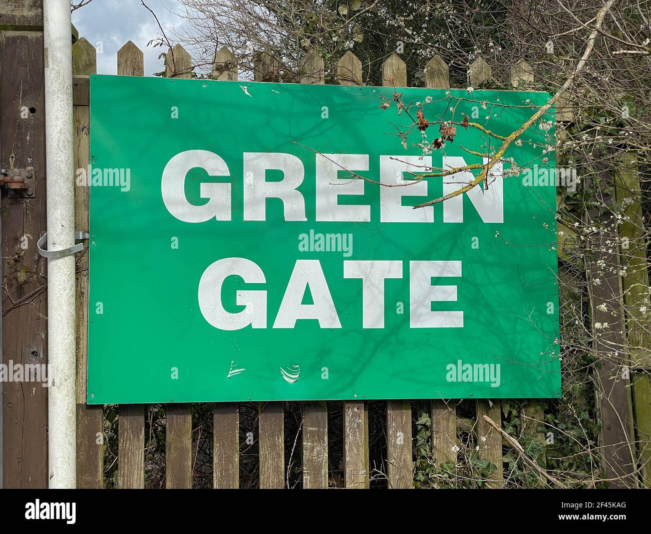 Cartello Green Gate attaccato a una recinzione in legno presso il Westpoint Exhibition Centre nella città di Exeter, Inghilterra, Regno Unito Foto Stock
