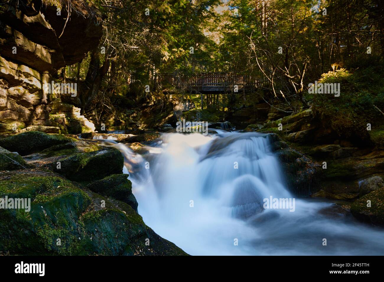 il flusso d'acqua scende in una bella foresta Foto Stock