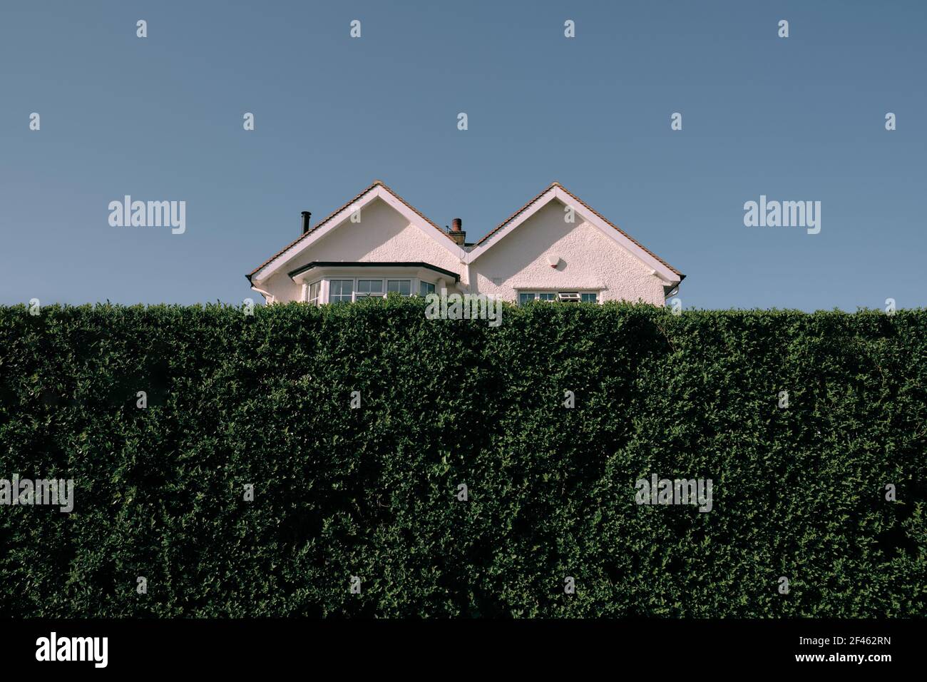 M a forma di / Double Pitched / doppio tetto timpano architettura della casa suburbana mezzo nascosto proprietà dietro un alto giardino verde siepe & cielo blu. Foto Stock