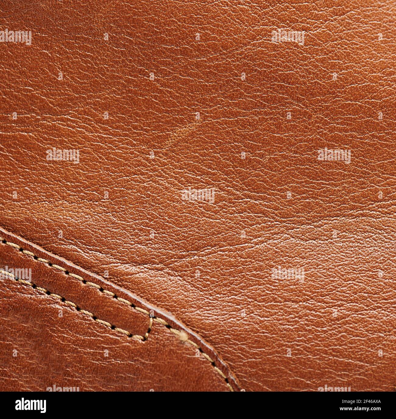 Vista ravvicinata macro sfondo in pelle marrone naturale Foto Stock