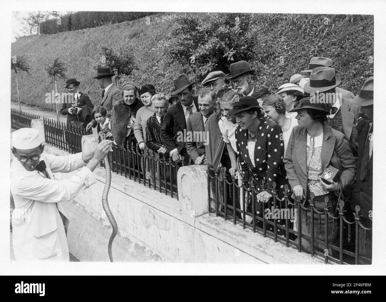 Spettacolo di serpenti all'Instituto Butantan (allevamento di ragni di uccelli e poising) Foto Stock