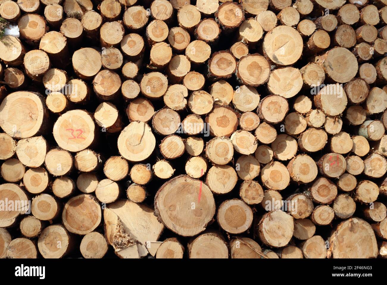 Materiale di legno Foto Stock