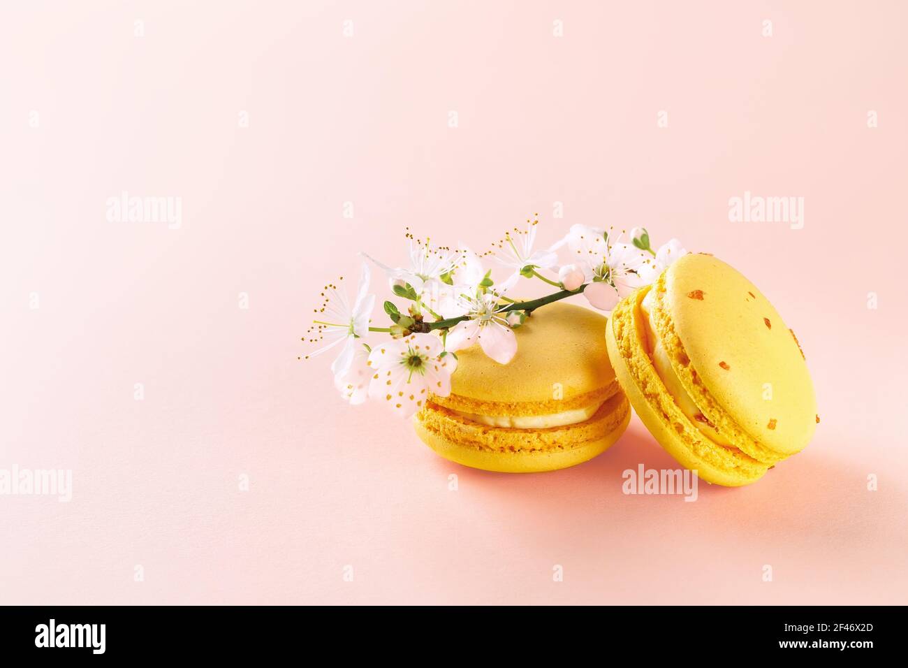 Due amaretti gialli e fiori in fiore di ciliegio primaverile su sfondo rosa pastello con spazio copia. Mockup di biglietto d'auguri con dolci torte macaron. Foto Stock