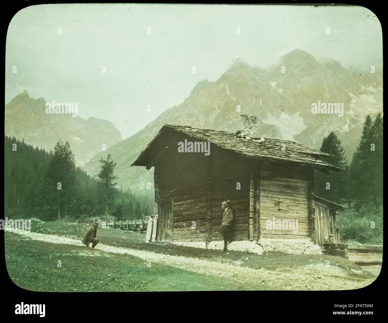 A Bad Moss Foto Stock