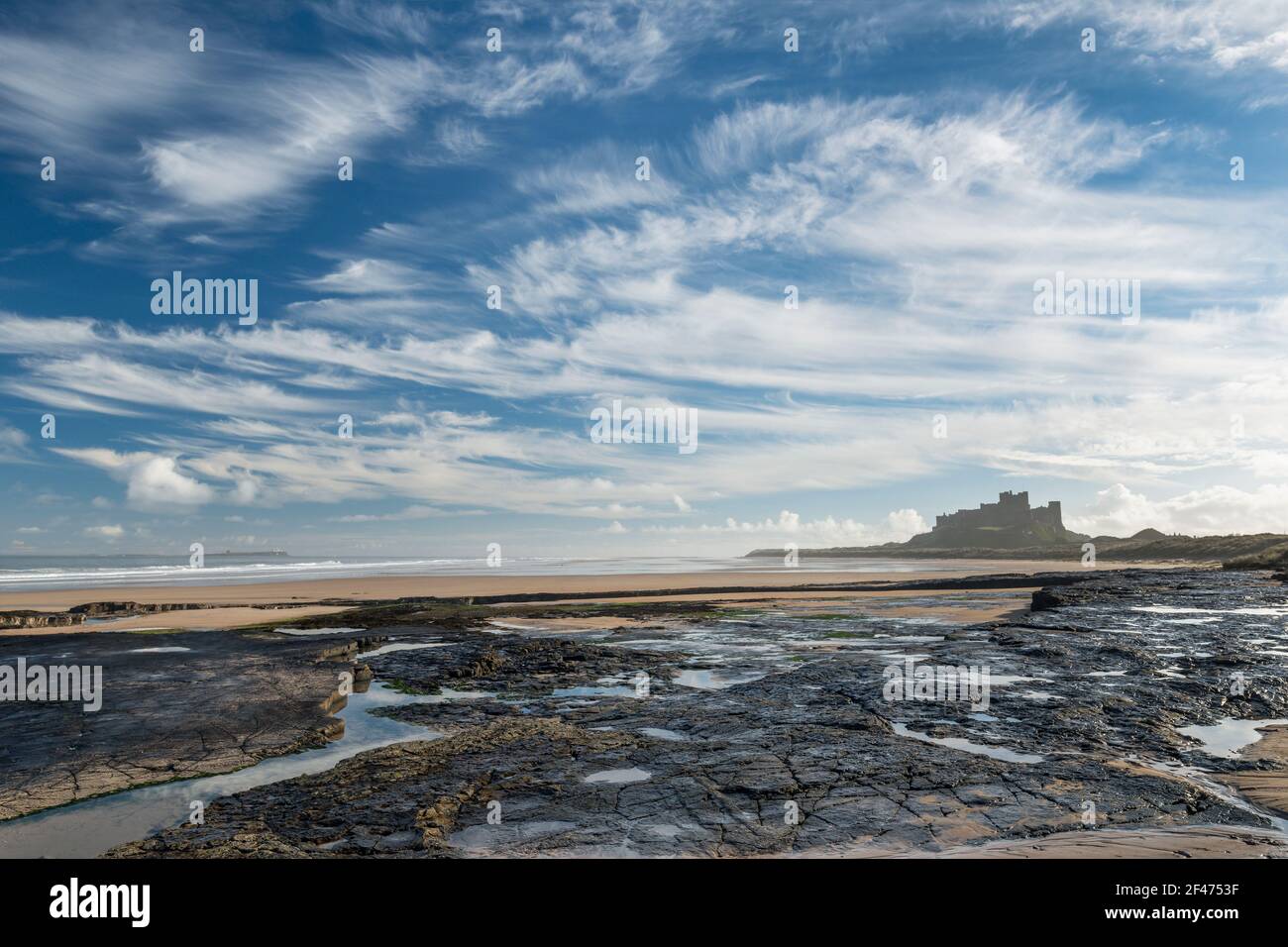 Il Castello di Bamburgh al mattino d'inverno da una mensola di roccia di Whin Sill a nord del castello, Northumberland, Inghilterra Foto Stock