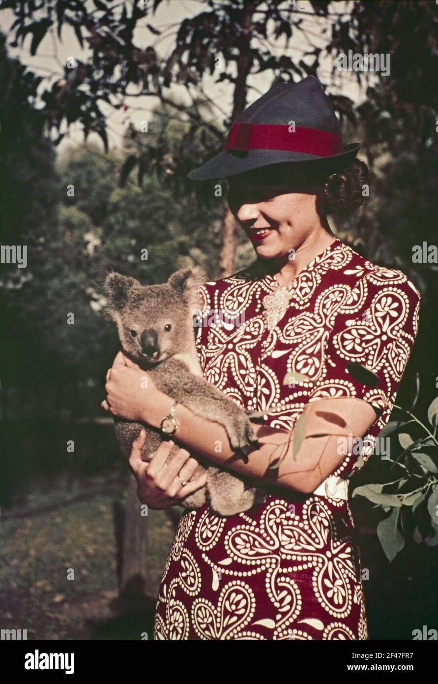 Miss Betty Lynds con un koala Foto Stock