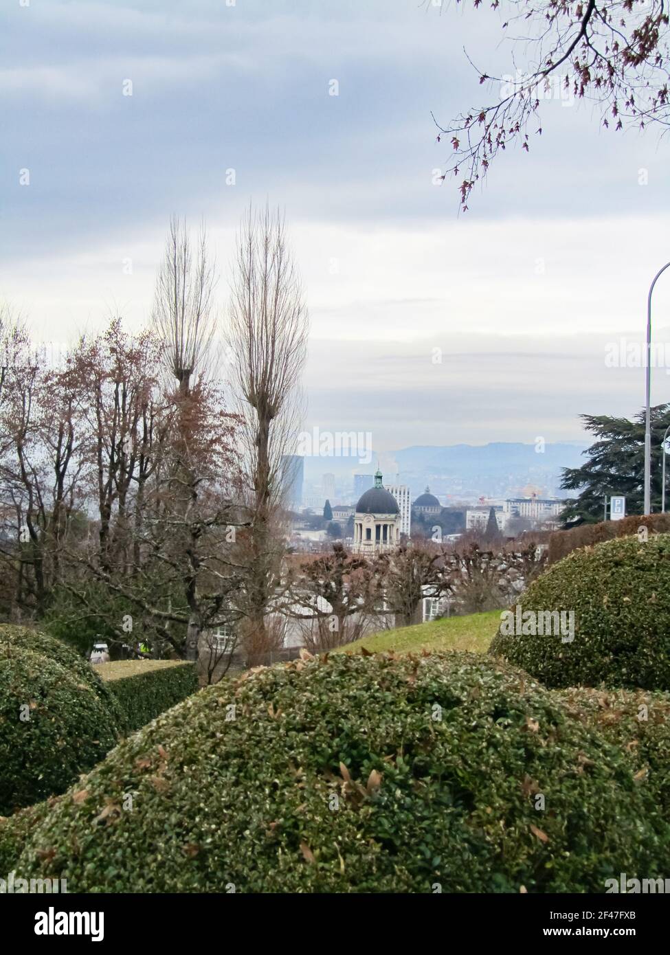 Zurigo, Svizzera: Vista da un giardino con alberi a cassetta al centro della città Foto Stock