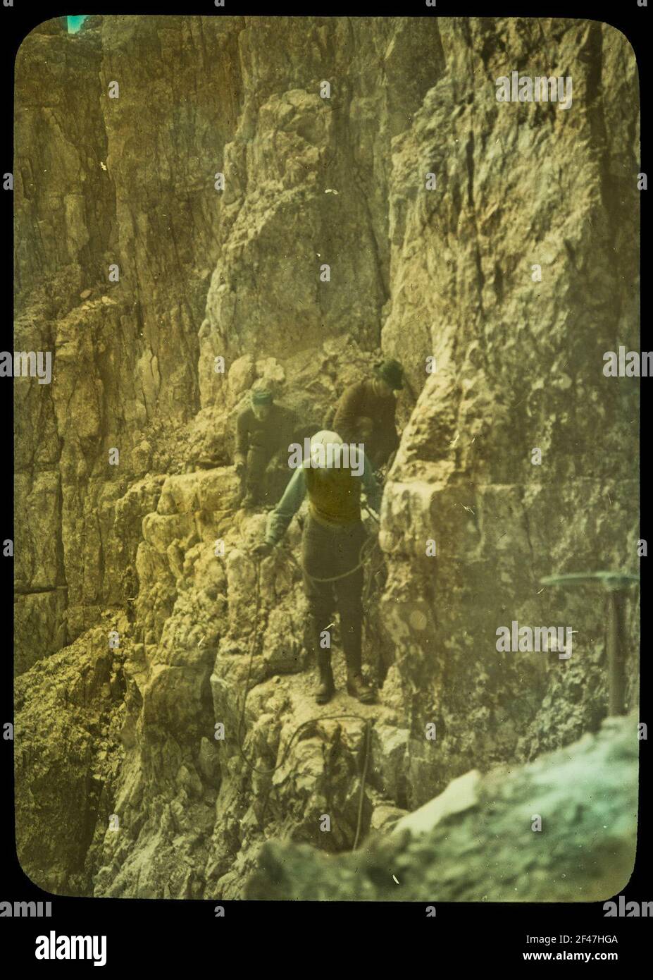 Arrampicatore sulla lattina piccola Foto Stock