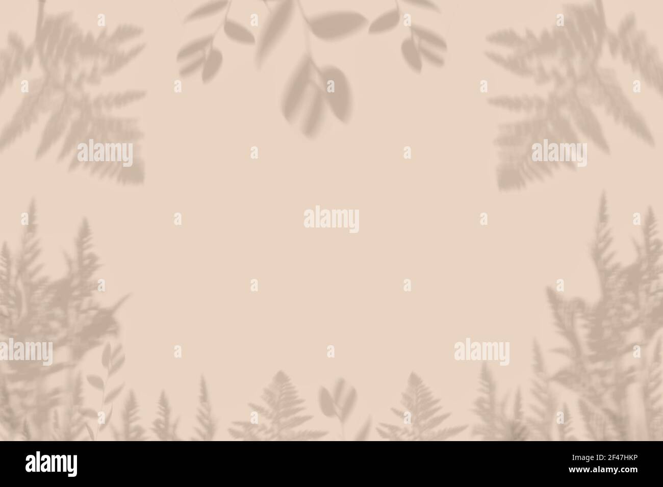 Concetto estivo realizzato con piante verdi naturali ombra foglia su sfondo beige sabbia colore. Minimo ambiente piatto con copia creativa spa Foto Stock