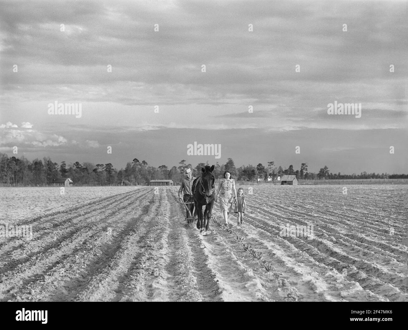 Levy Usher e la sua famiglia arando il loro tratto di due acri nel Giardino della Comunità a Hazlehurst Farms, Georgia, USA, Jack Delano, U.S. Farm Security Administration, aprile 1941 Foto Stock