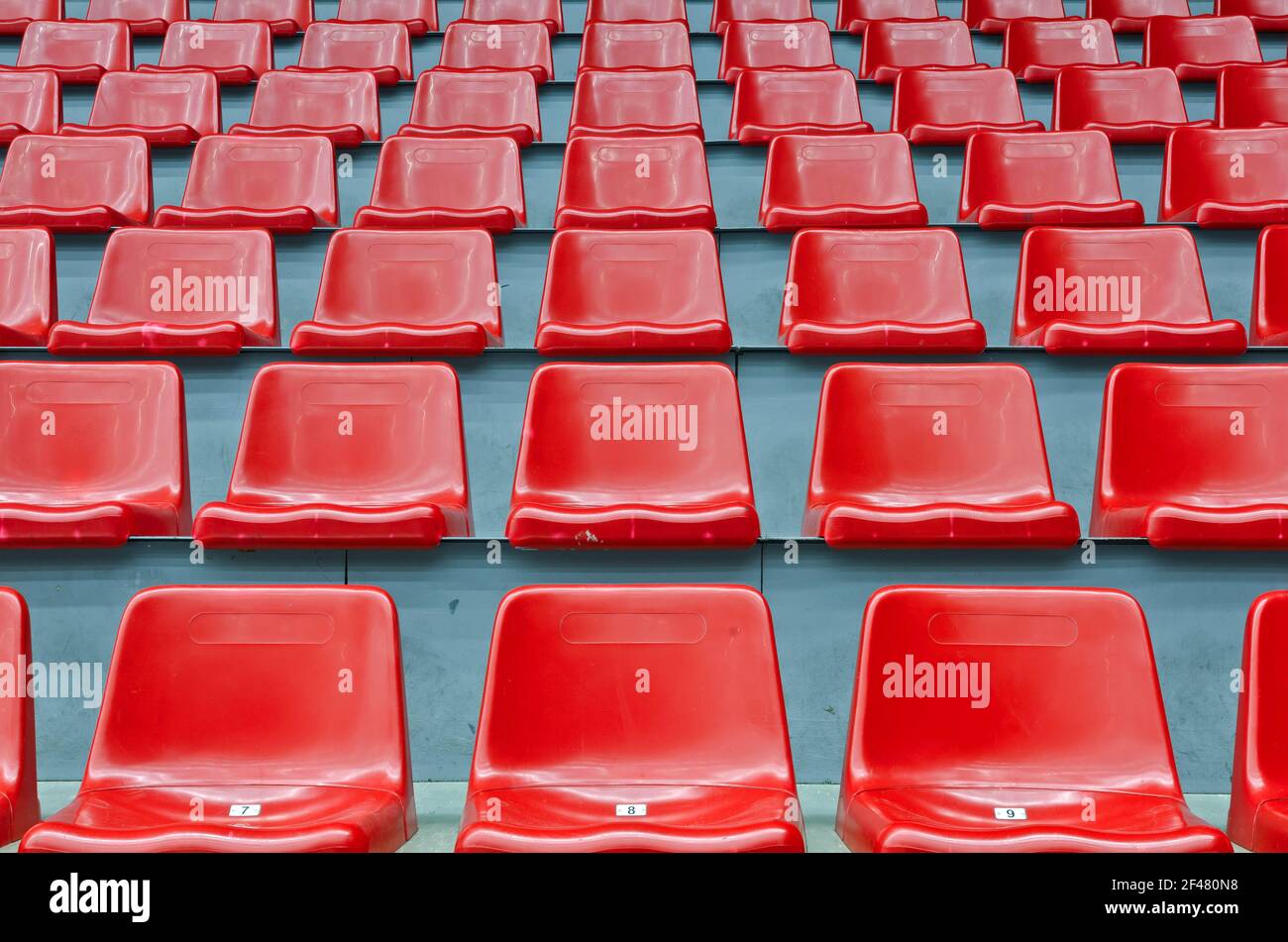 Sedili in plastica rossa numerati per lo stadio - vista orizzontale Foto Stock