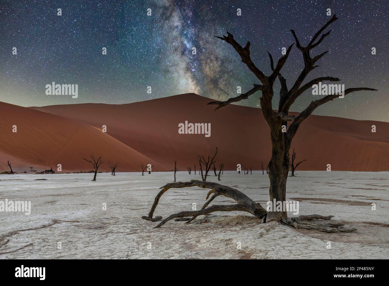 Vecchi alberi morti con la duna grande papà dietro sotto una notte stellata, Deadvlei, Namib-Naukluft National Park, Sesriem, Namibia Foto Stock