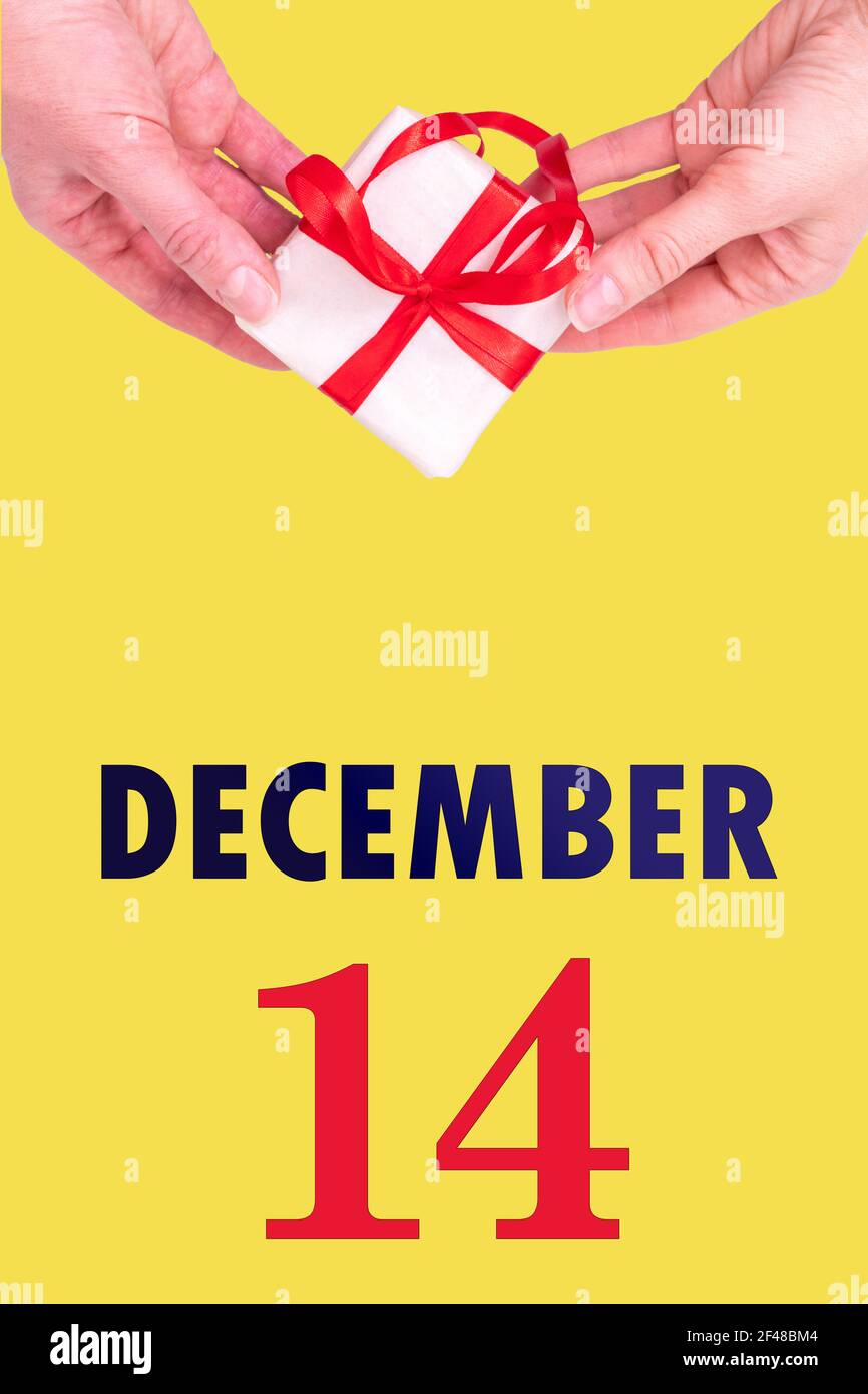 14 dicembre. Calendario verticale festivo con mani che tiene Bianco scatola regalo con nastro rosso e calendario Data 14 dicembre su illuminante giallo Backgr Foto Stock