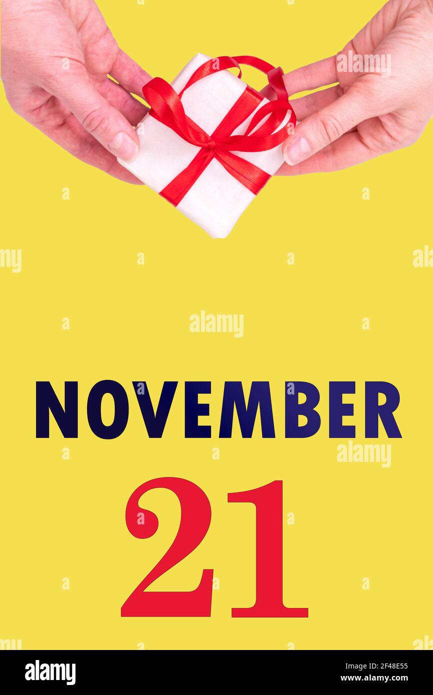21 novembre. Calendario verticale festivo con mani che tiene Bianco scatola regalo con nastro rosso e calendario Data 21 novembre su illuminante giallo Backgr Foto Stock