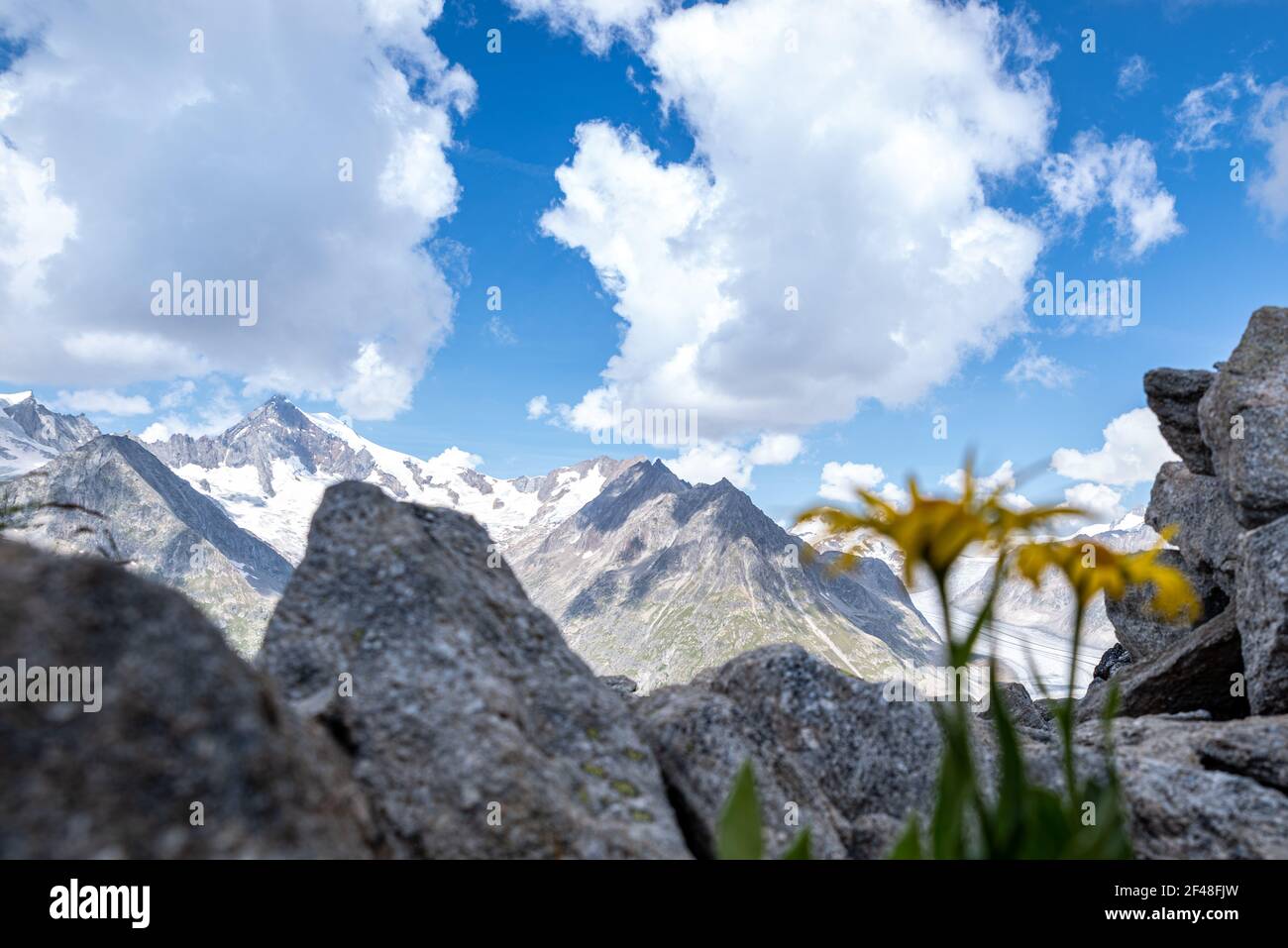 Ghiacciaio Aletsch - svizzera Foto Stock