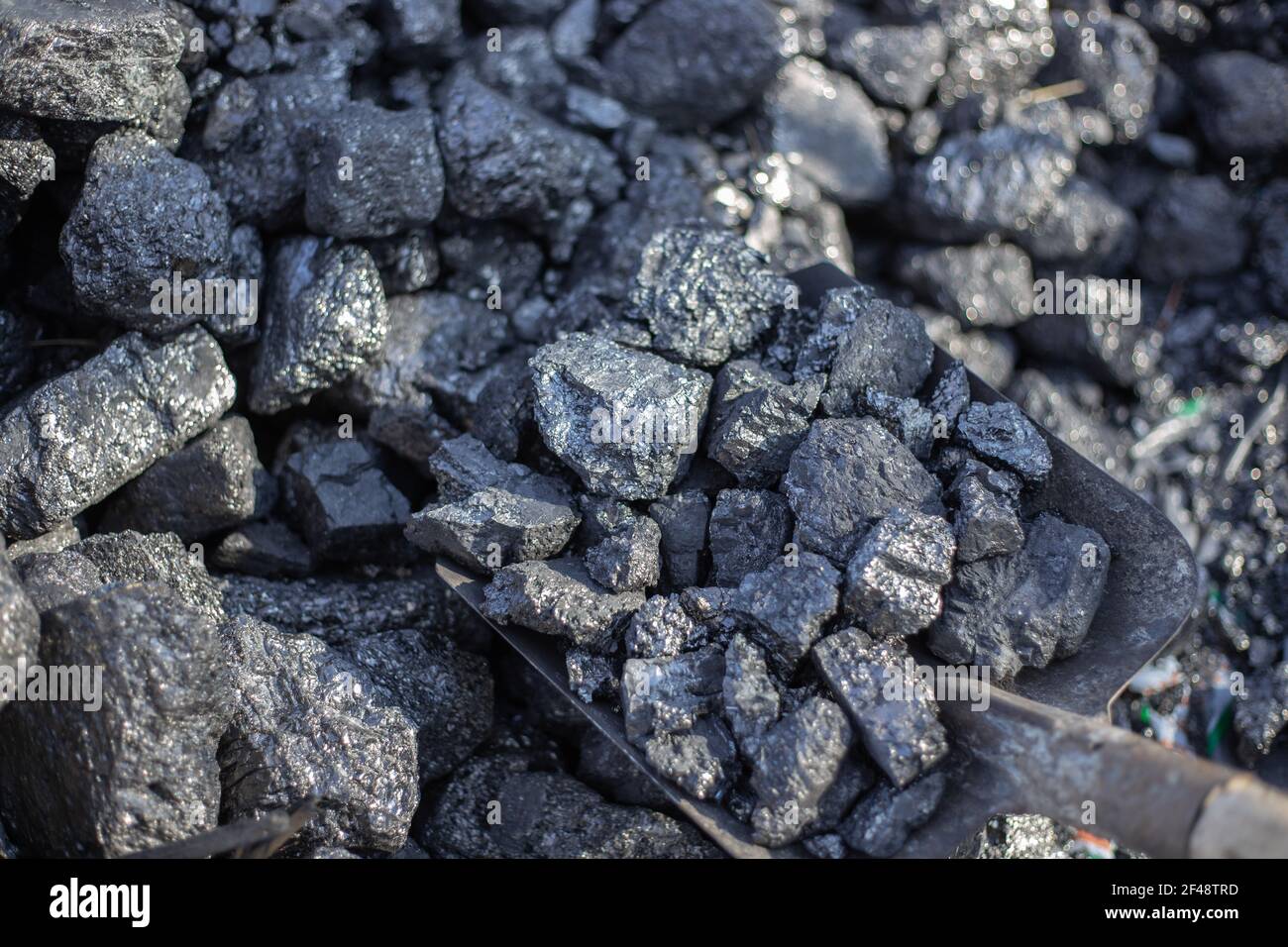 Attività minerarie. Grandi pezzi di carbone sono sboched con una pala, combustibile minerale per stufe e caldaie domestiche. Foto Stock