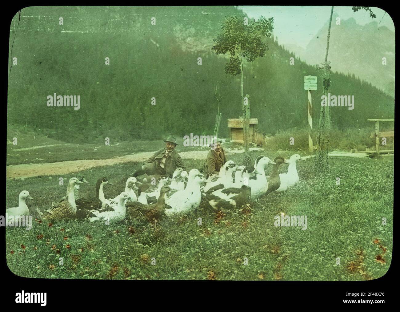 Nel Fischleintal Foto Stock