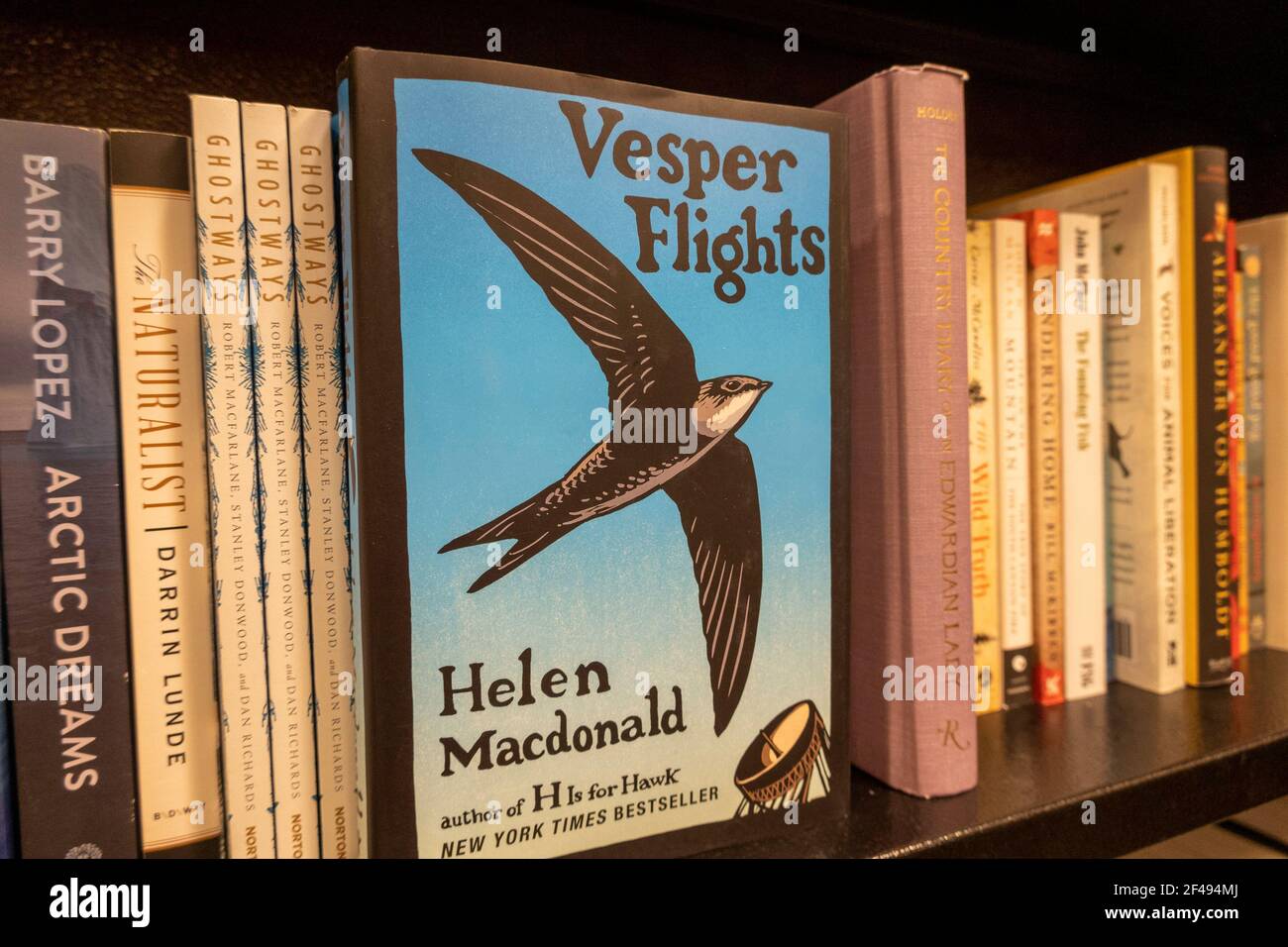 Barnes & Noble librai Prenota Display, NYC, STATI UNITI D'AMERICA Foto Stock