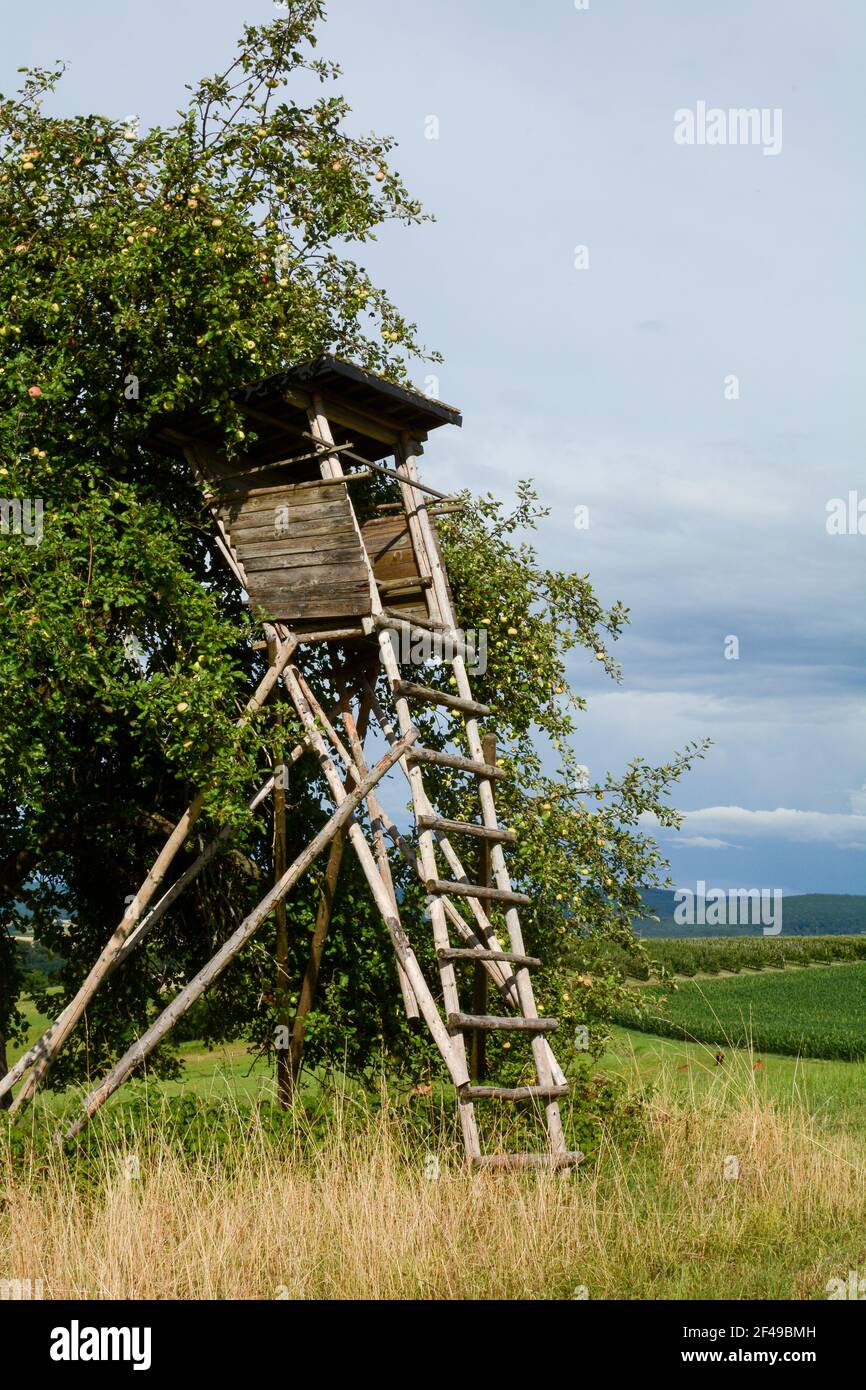 Sede del cacciatore di legno presso un albero di mele, con molte mele e paesaggi con campi Foto Stock