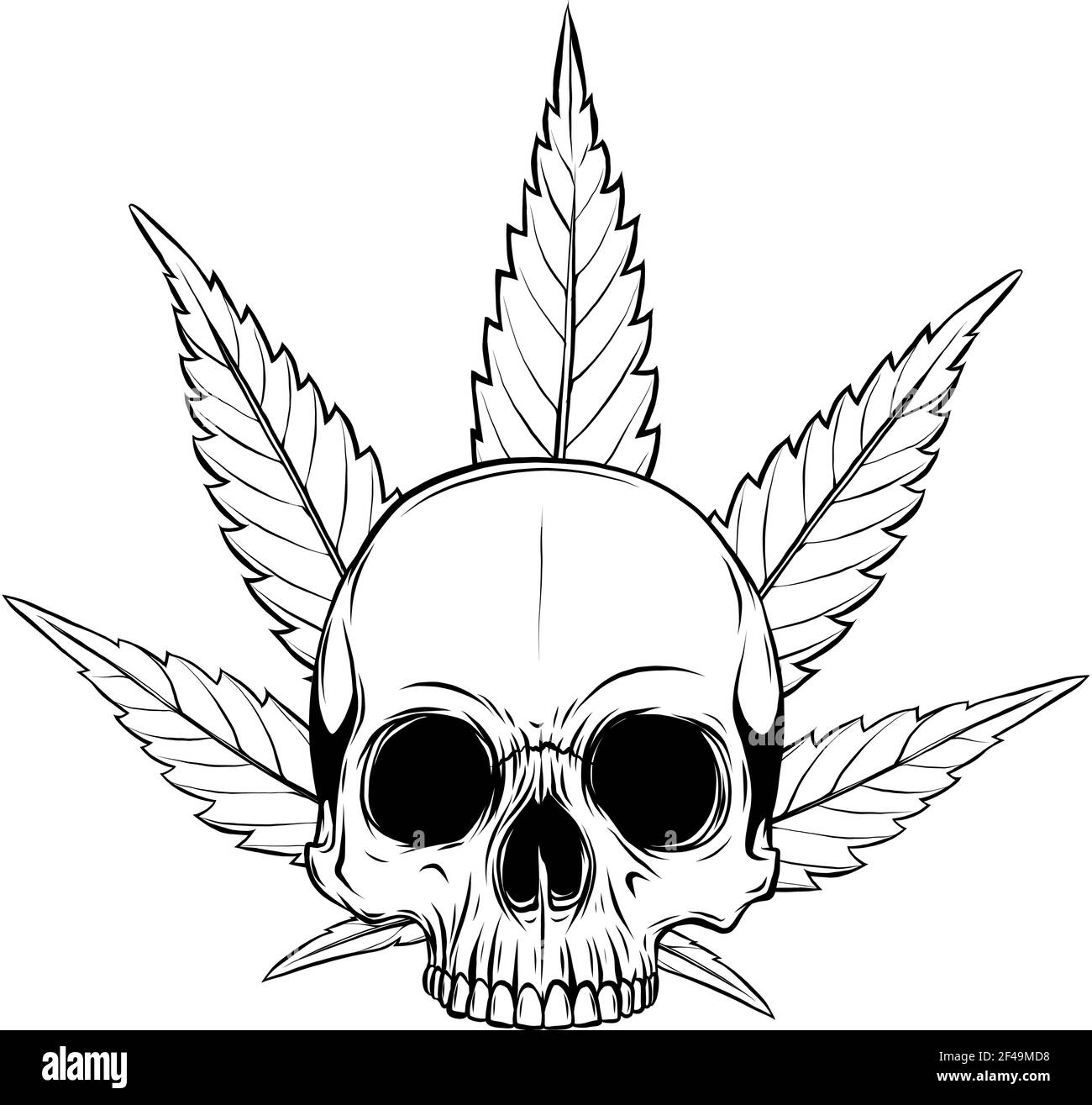 disegnare in bianco e nero di cranio con foglie di marijuana disegno dell'illustrazione della testa Illustrazione Vettoriale disegnare in bianco e nero di cranio con foglie di marijuana disegno dell'illustrazione della testa Illustrazione Vettoriale