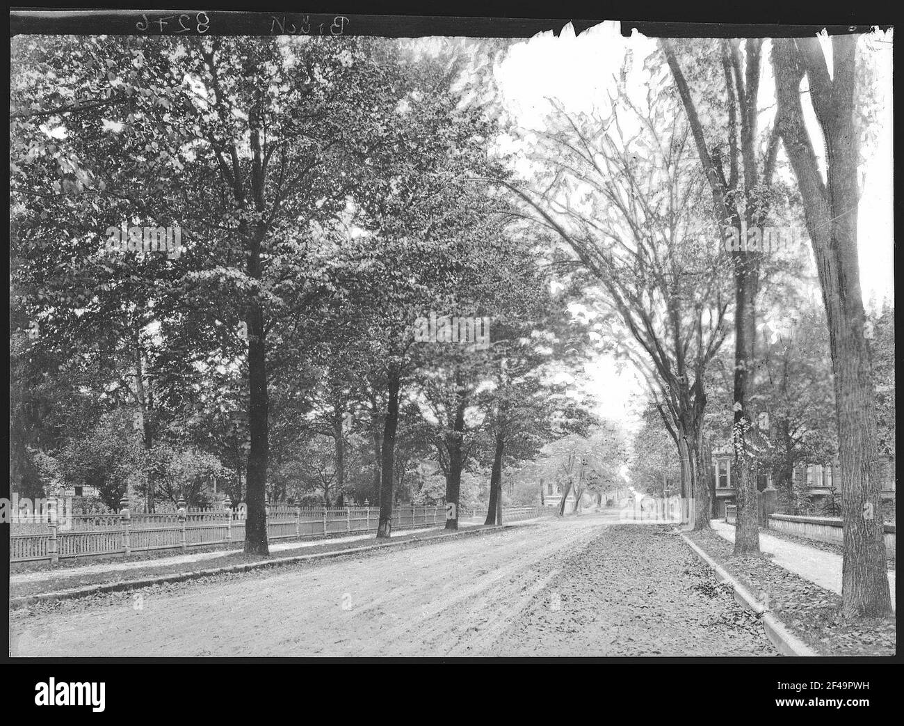 Portland, Oregon. Taylor Street Foto Stock