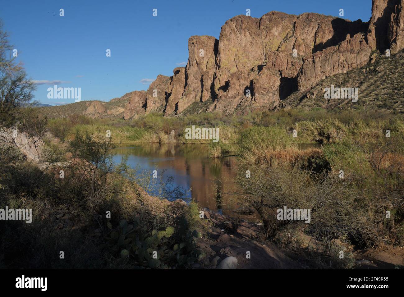 La bellezza abbonda sul fiume di sale inferiore vicino a Mesa, Arizona con le formazioni rocciose incredibili, il cactus di saguaro così come molte altre specie di flora Foto Stock