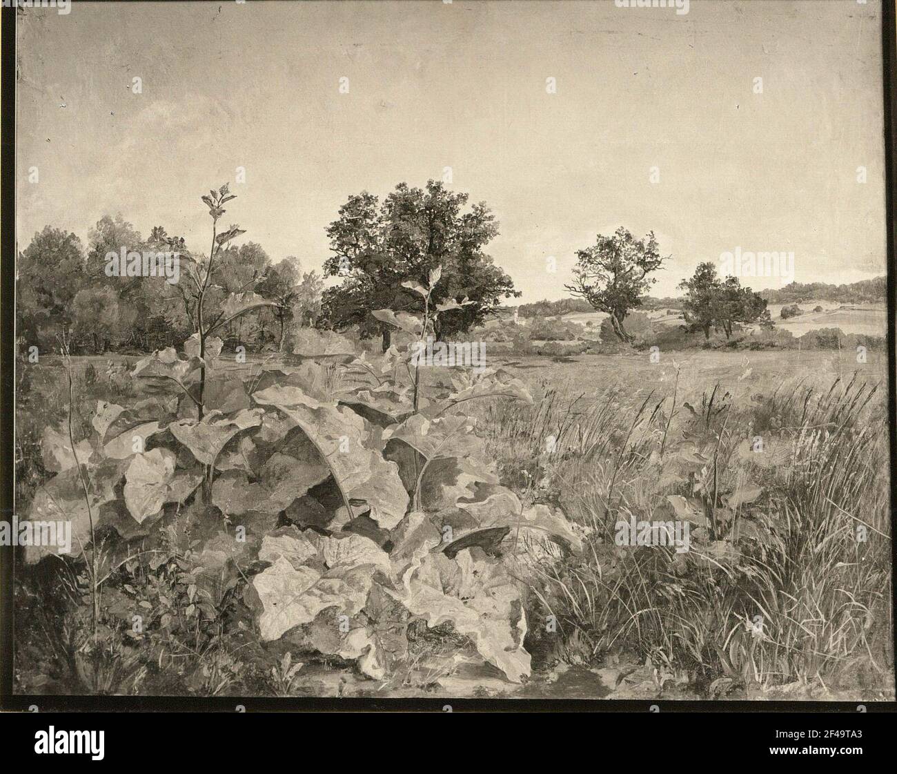 Paesaggio bavarese Foto Stock