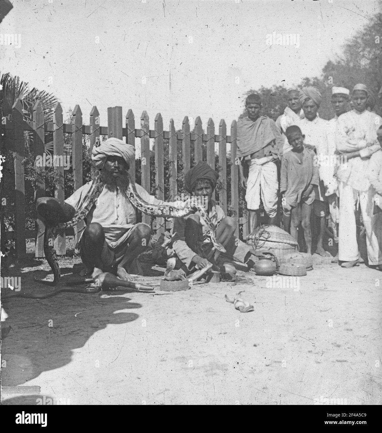 India. Indiani con serpenti, normalmente locali Foto Stock