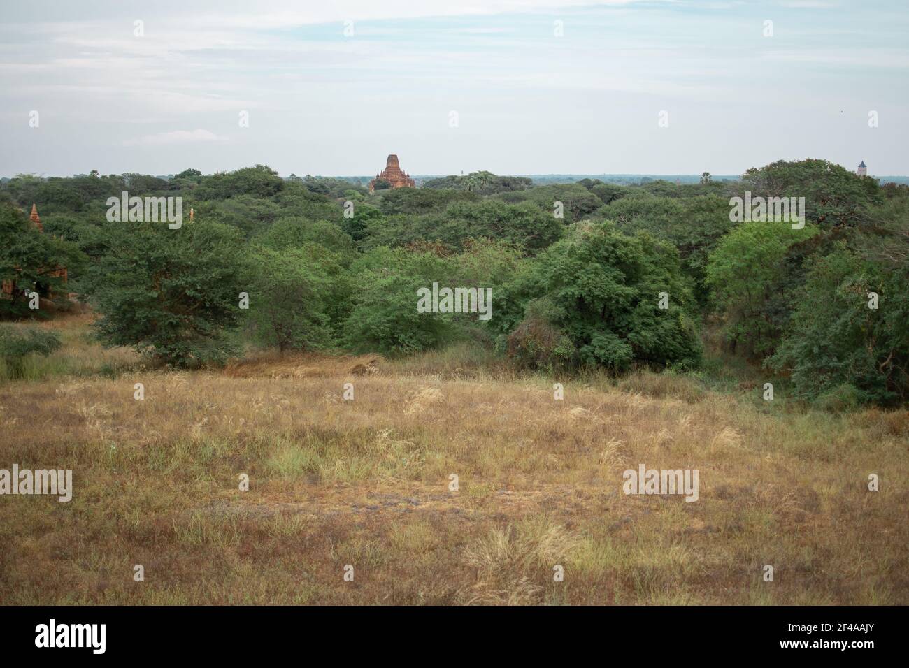 BAGAN, NYAUNG-U, MYANMAR - 2 GENNAIO 2020: Un tempio storico che si sveglia dalla foresta e campi asciutti Foto Stock