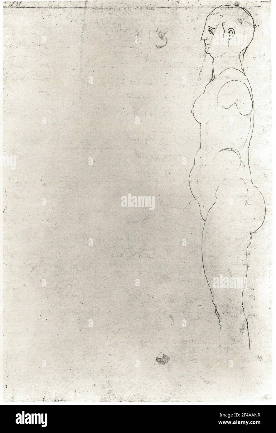 Donna senza braccia e piedi lateralmente Foto Stock