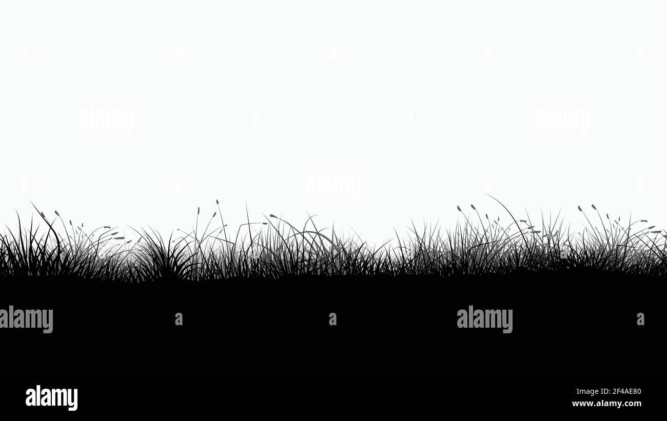 immagine della silhouette senza cuciture in erba di colore nero su sfondo bianco Illustrazione Vettoriale