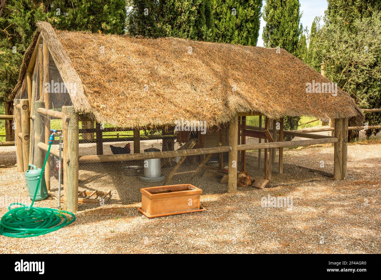 Montalcino, Toscana, Italia. Polpette di pollo costruite a mano con il tetto di paglia vicino all'azienda vinicola Altesino. (Solo per uso editoriale) Foto Stock