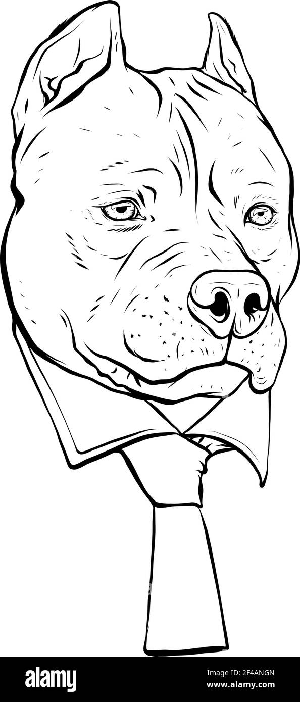 disegnare in bianco e nero della testa di pitbull con la cravatta del collo disegno di illustrazione vettoriale Illustrazione Vettoriale