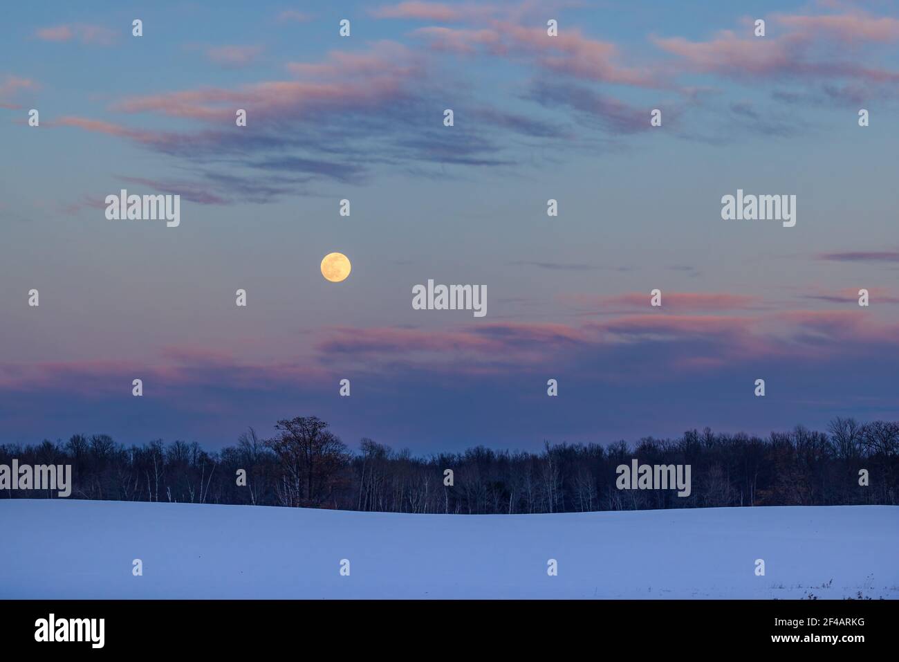 Una luna piena che sorge su un paesaggio invernale nel Wisconsin settentrionale. Foto Stock