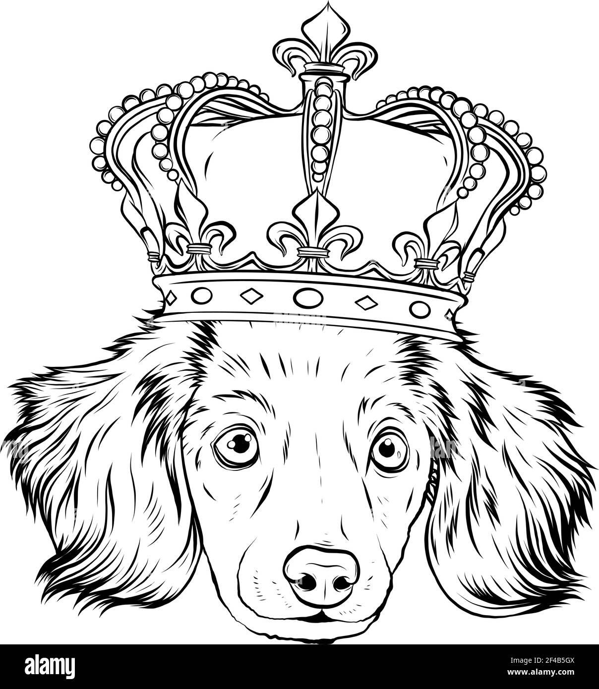 Disegno in bianco e nero della testa del vettore Re del cane su sfondo bianco Illustrazione Vettoriale