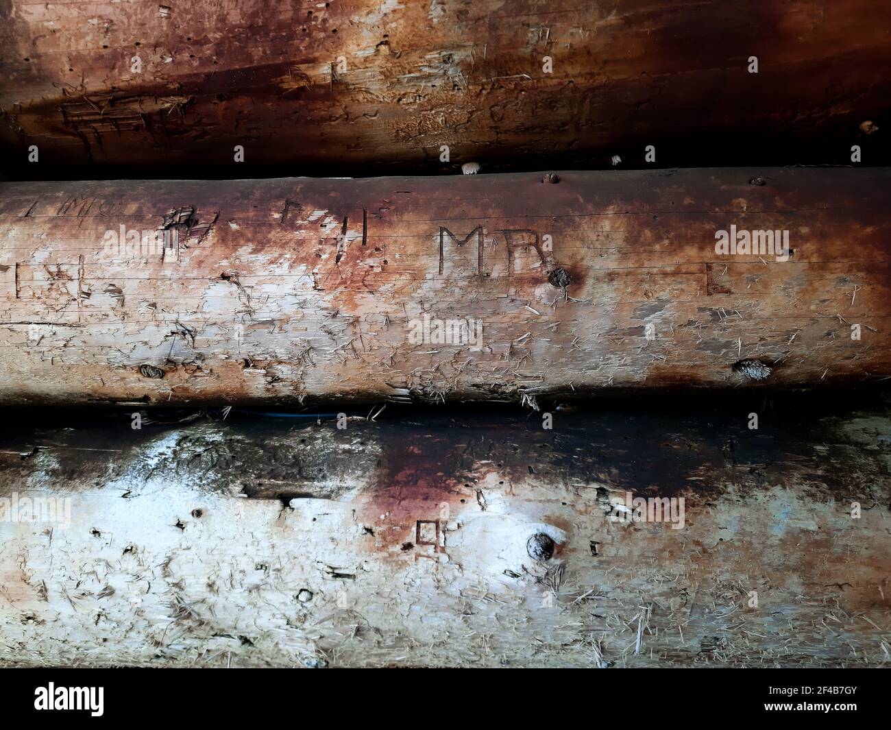 Sfondo con vecchi tronchi con iscrizioni. Tronchi marciati dalla vecchiaia. Foto Stock