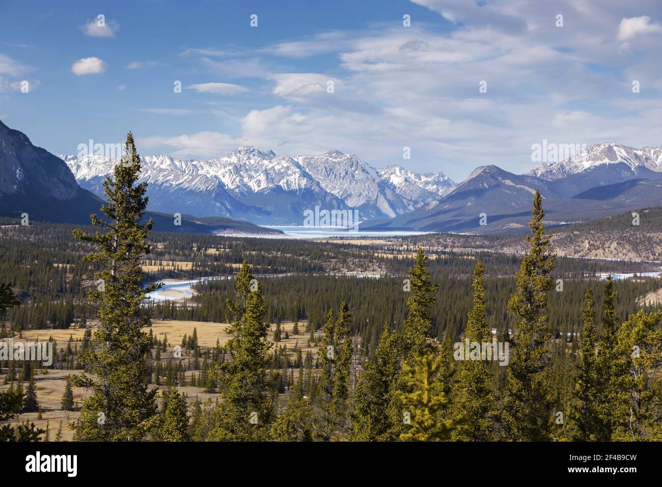 Vista aerea panoramica Kootenay Plains Ecological Reserve, Abraham Lake Rocky Mountain Peak Range Horizon. Sunny Springtime Day Landscape Montagne Rocciose canadesi Foto Stock
