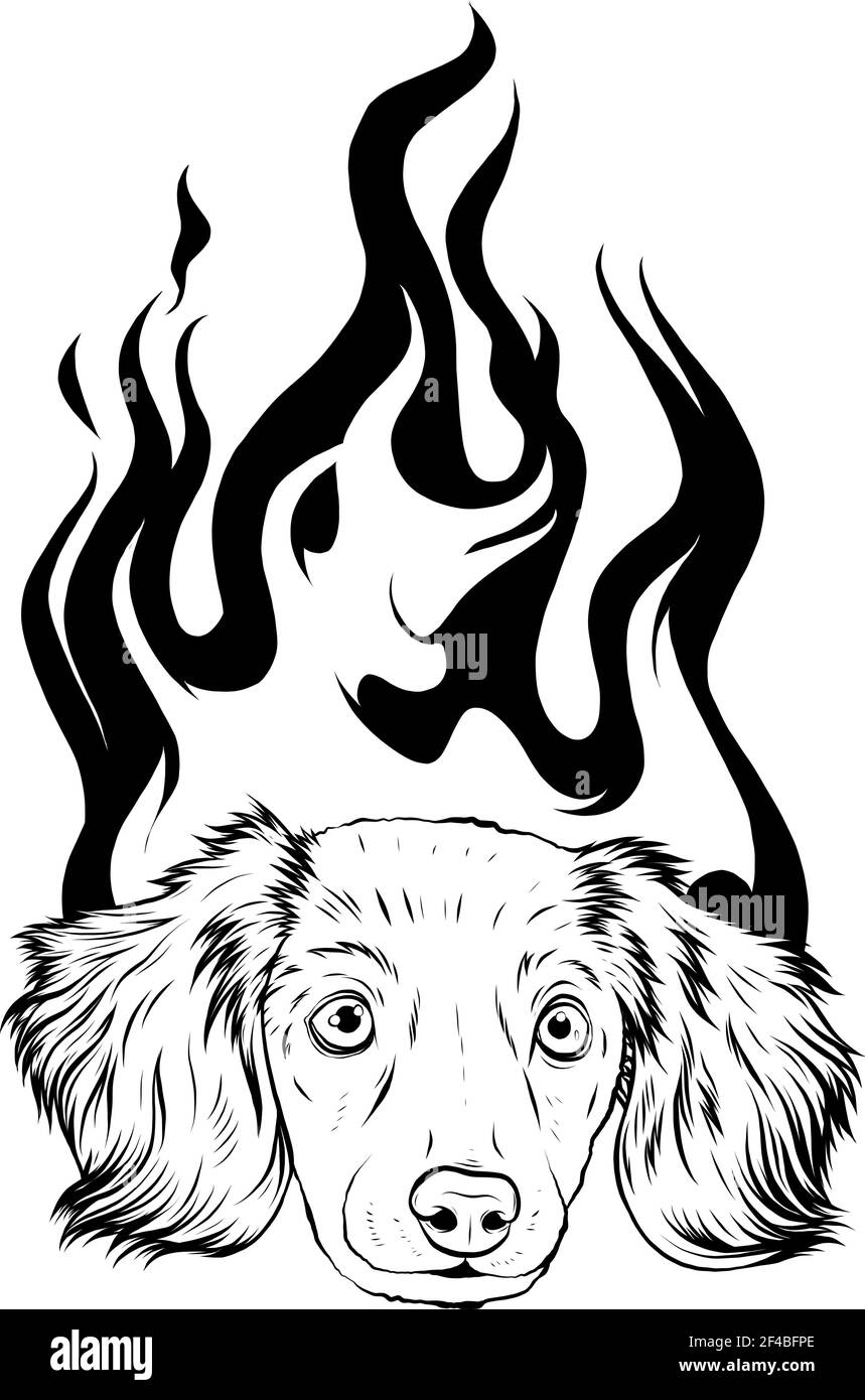 Pesca in bianco e nero di cane cucciolo con fiamma ornamenti illustrazione vettoriale Illustrazione Vettoriale