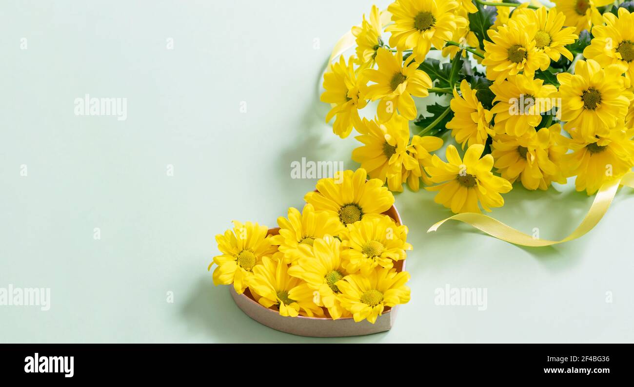 Bouquet di crisantemi gialli e boccioli di crisantemi in forma di cuore su sfondo turchese. Vista dall'alto, spazio per il testo. Bel biglietto d'auguri de Foto Stock